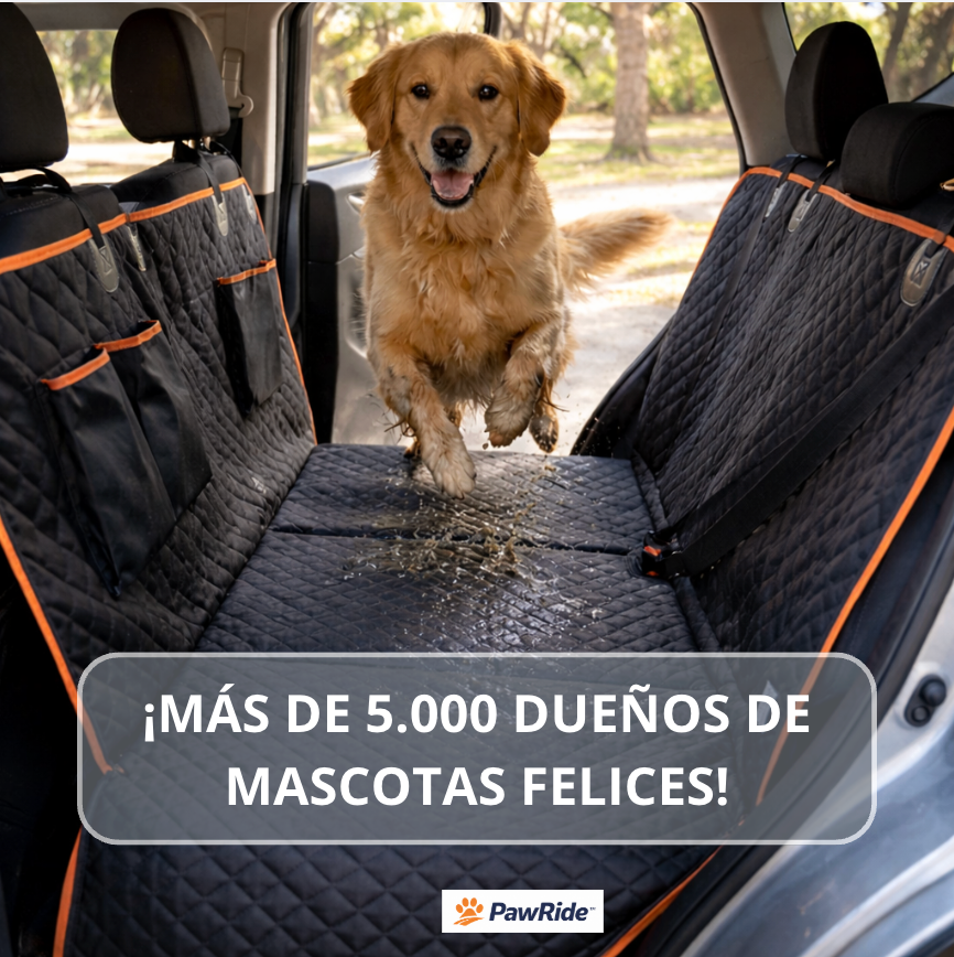 PawRide 360° - Menos caos, más viajes