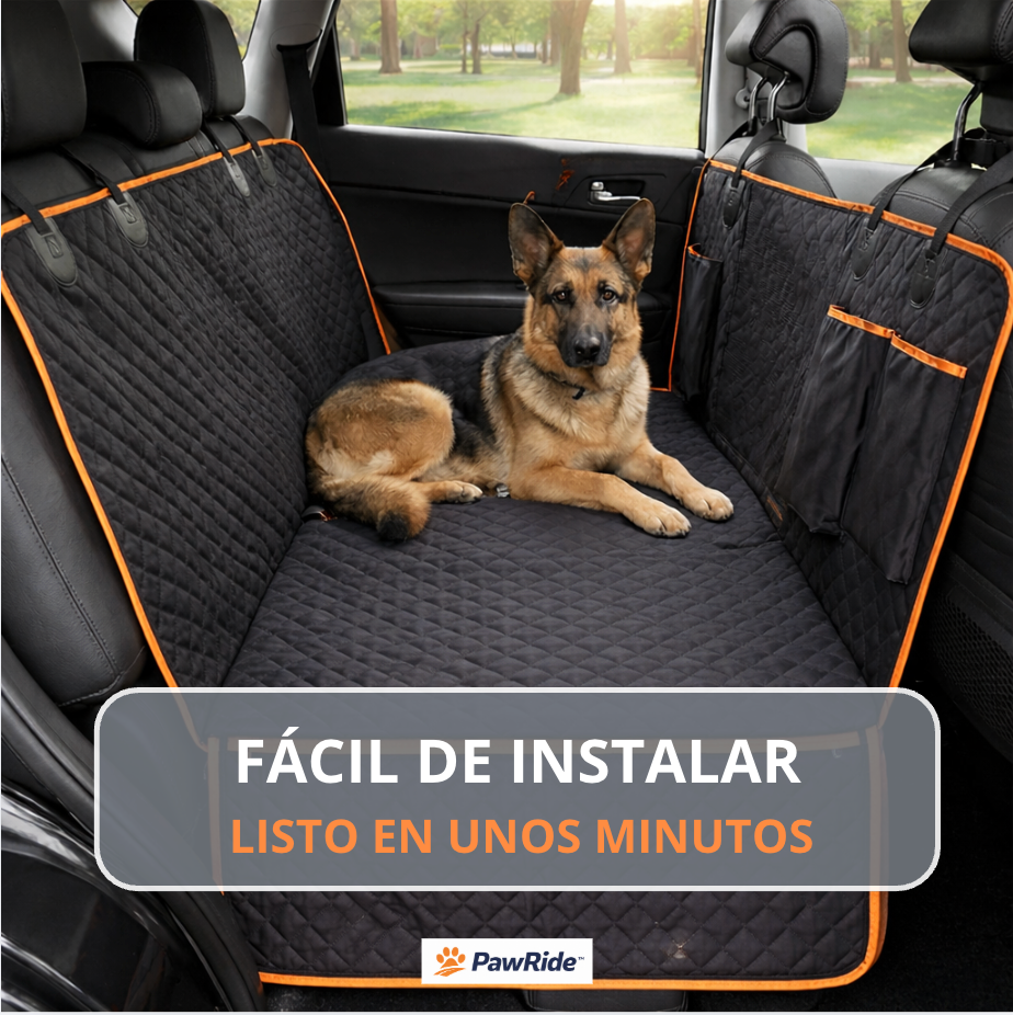 PawRide 360° - Menos caos, más viajes