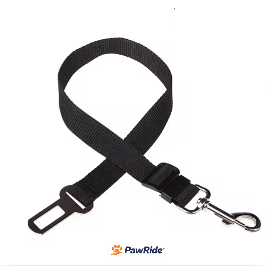 Cinturón Seguridad para Perros - Siempre seguro 🐾
