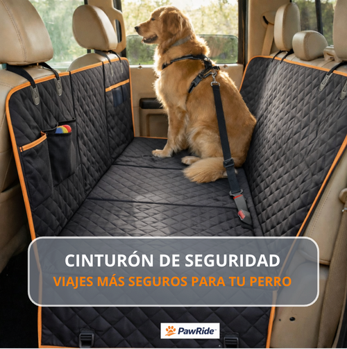 Cinturón Seguridad para Perros - Siempre seguro 🐾