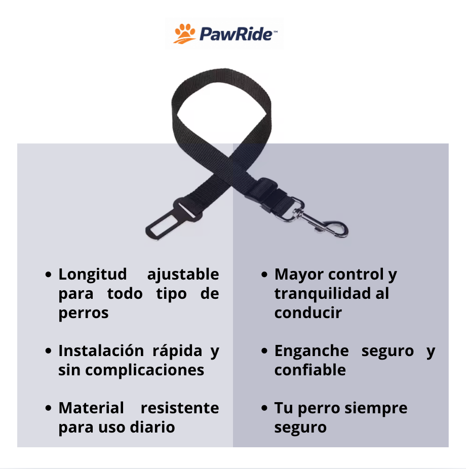 Cinturón Seguridad para Perros - Siempre seguro 🐾