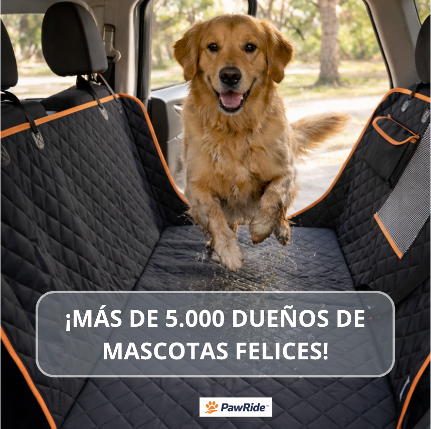 Funda 360° - Menos caos, más viajes